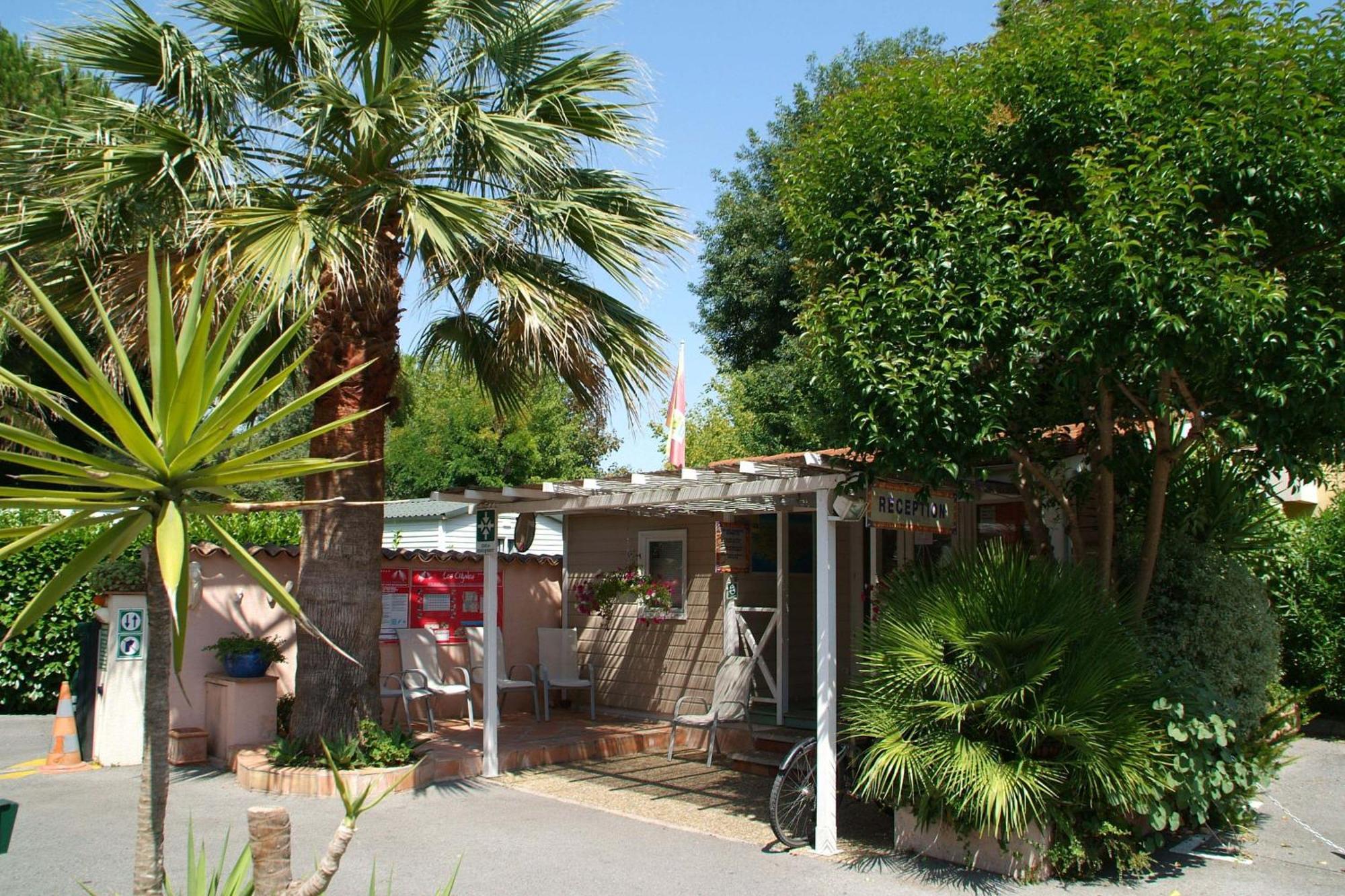 Camping Les Cigales Hotell Mandelieu Eksteriør bilde